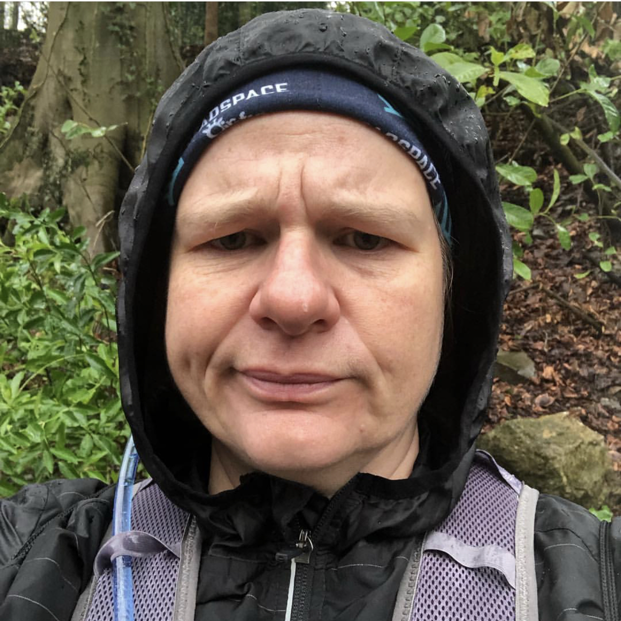 Leigh woods in the rain