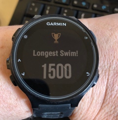 Watch 1500m swim